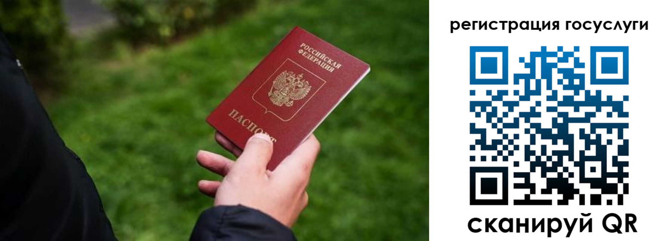 прописка в Чудово